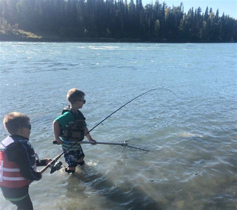 Kenai airpark lots for sale. Back Eddy Kenai River Fishing Cabins & Fishing Lodges