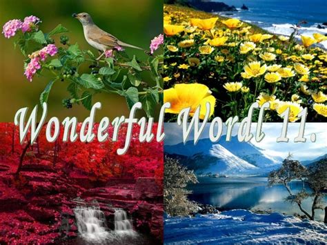 Wonderful World11pps