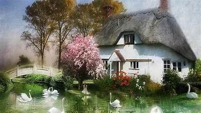 English Cottage Country Desktop Wallpapers Pond Swans