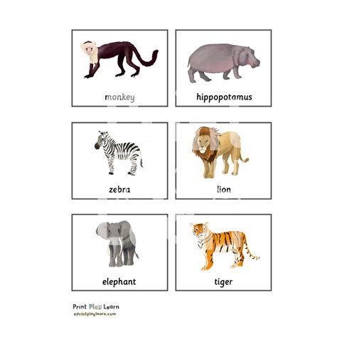 Animal Classification Cards - Printable Teaching Resources - Print Play ...