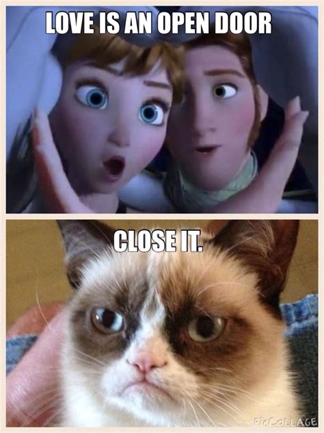 Pin By Kaylee Truesdale On The Grumpy Guide To Life Observations By Grumpy Cat Funny Grumpy