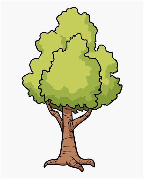 Cartoon Tree Drawing Clip Art Drawing Cartoon Tree Trees Hd Png