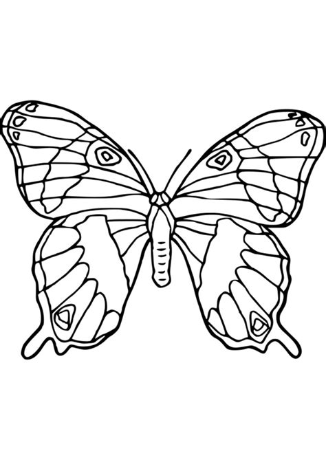 à Colorier Animaux Luxe Collection Coloriage Animaux Sans Yeux