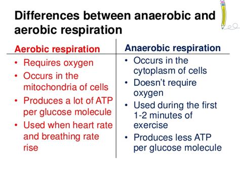 Try to remember the name of the gas that gets. Aerobic & anaerobic respiration