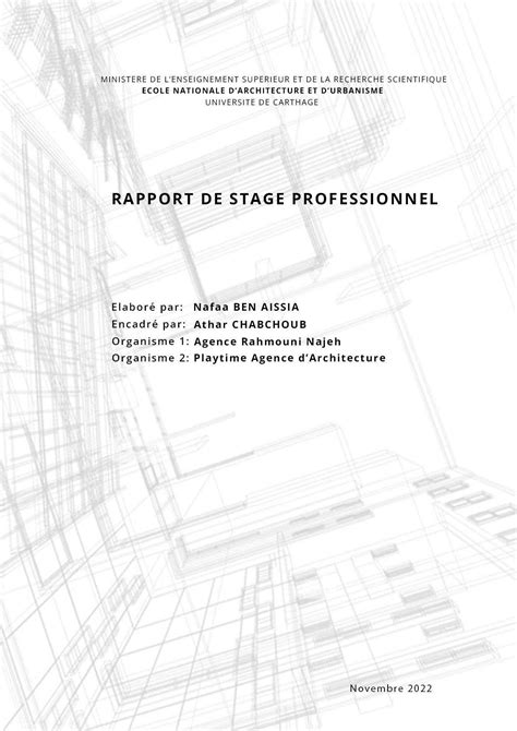 Rapport Stage Professionnel Nafaa Ben Aissia By Nafaa Ben Aissia Issuu