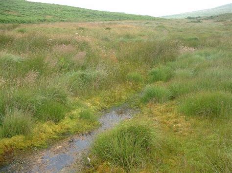 Bodmin Moor Wikipedia