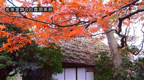 Manage your video collection and share your thoughts. 箱根・強羅公園（白雲洞）の紅葉見ごろ - YouTube