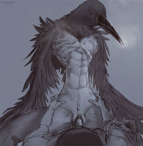 Rule 34 Avian Beak Bird Corvid Crow Crow Demon Dark Souls Dark Souls