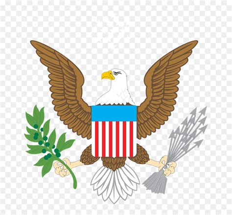 Eagle American Emblem Freedom Bird Usa America American Bald