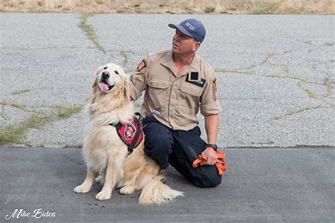 This pic was taken from a mountain on the other side of the i remember going up the mountian and watching the fire with some of the ppl that were staying at the. Penticton fire chief heads to Bahamas with search dog ...