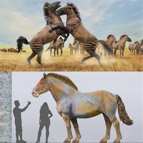 Ice age alive exhibition 2018 at matic kuala lumpur. Pin on ICE AGE & EXTINCT FAUNA