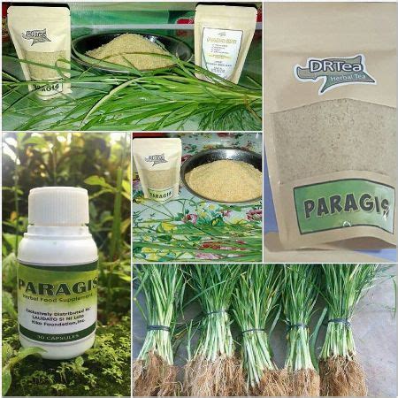 Paragis Tea [ Food & Beverage ] Tarlac City, Philippines ...
