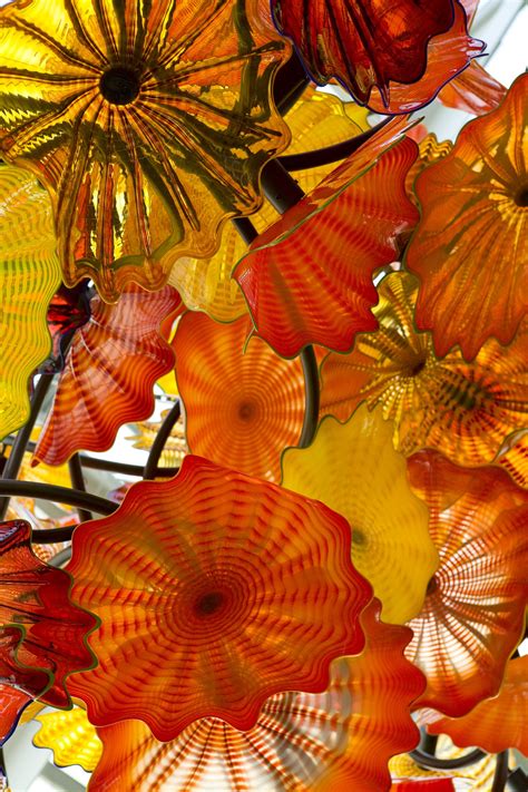 “chihuly Celebrating Nature” Opens Today At Franklin Park Conservatory