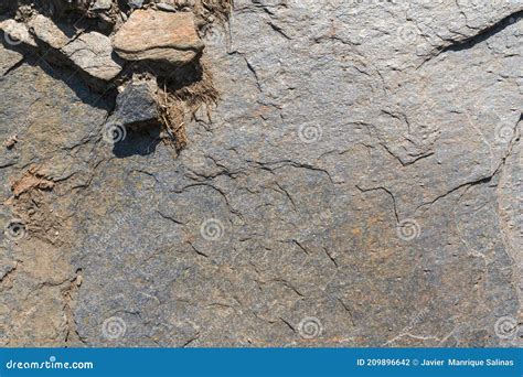 Uneven Rocky Surface Stock Photo Image Of Rock Background 209896642