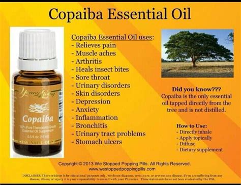 Copaiba essential oil comes from brazil and has many uses, ranging from targeting areas after a workout to using it in your skincare. YL Copaiba | Essential oils herbs, Copaiba essential oil ...