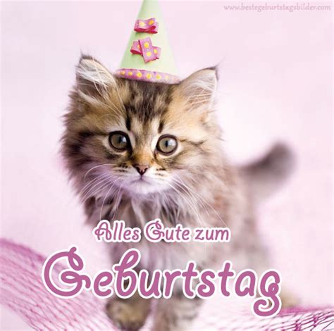 60 geburtstag geburtstagskarte alles gute ideen fur 60 geburtstag vater 60th birthday ideas for mom 60th. Geburtstag katze 4 » Happy Birthday World
