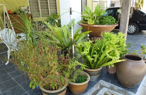 Sblm ni wat xkisaj je hi2. Greenfingers: Kembali Normal