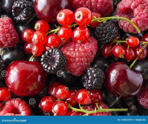 Ripe Blackberries Blackcurrants Cherries Red Currants And