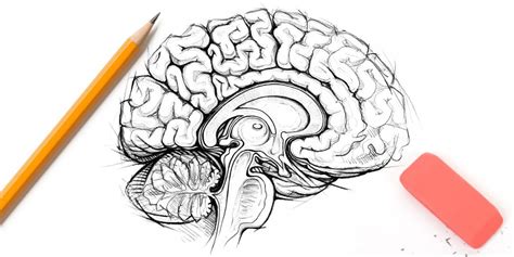 Brain Sketch Brain Geometric Tattoo Drawings