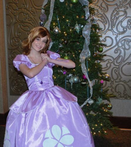 Sofia The First Dress Gown Costume Adult Or Teen Your Size Busts 26