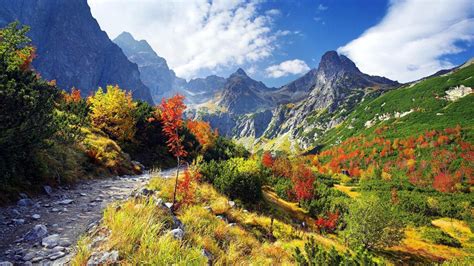 Glorious Valley Lscape Wallpaper Nature And Landscape Wallpaper Better