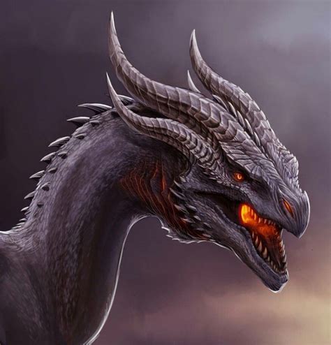 Pin By Justin Ridenour On Dragons Dragon Sketch Dragon Pictures