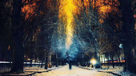 Photography Winter 4k Ultra Hd Wallpaper Background Image 3840x2160
