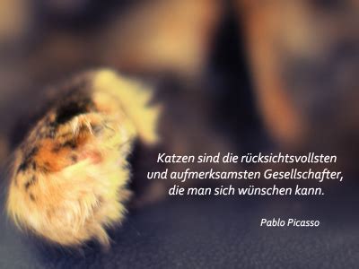 Lustige geburtstagssprüche sind ein integraler bestandteil von geburtstagsfeiern. Search Results for "Lustige Geburtstagswnsche" - Calendar 2015