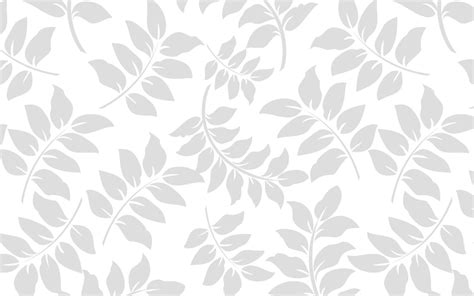 Plain background texture white backgrounds pattern textured nature green. White Background Desktop Wallpaper 16569 - Baltana