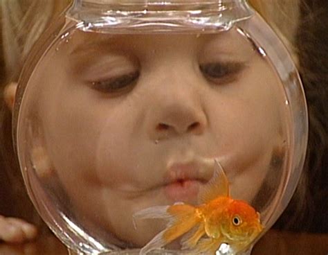 We did not find results for: A Fish Called Martin - Full House