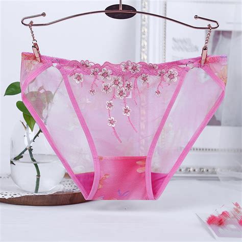 Sheer Rose Lace Briefs Panty Underwear Lingerie Pinup Boudoir Polka Dot