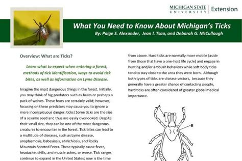 What You Need To Know About Michigans Ticks Integrated Pest Management