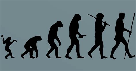 Fotos Da Evolução Humana