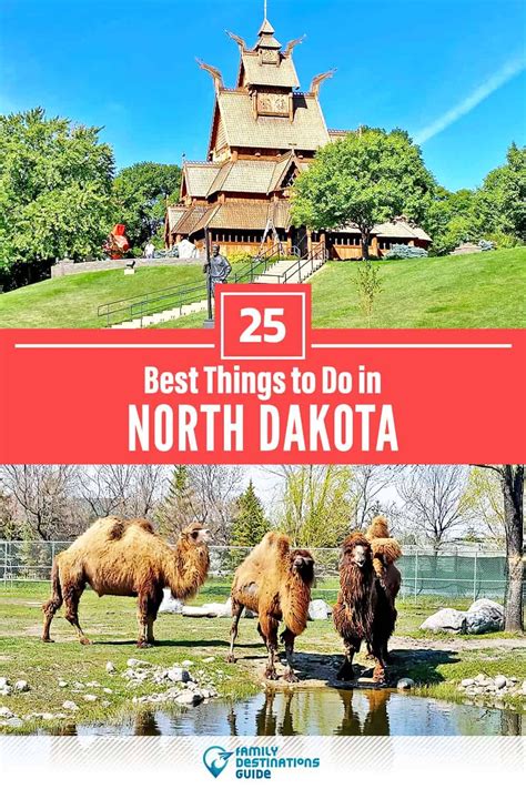 The Best Things To Do In North Dakota Including Bisons And Other