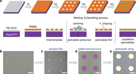 A Schematic Illustration Of The Preparation Of Perovskite Arrays