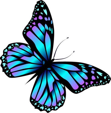 650 X 663 13 - Transparent Butterfly Cartoon Clipart ...