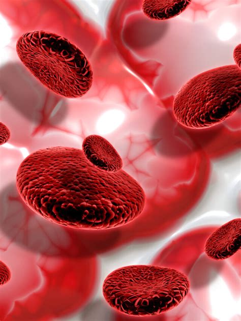 Tips To Boost Haemoglobin Naturally Nutrabay Magazine
