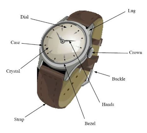Parts Of A Watch 101 Ultimate Intro Guide To Everything Watches