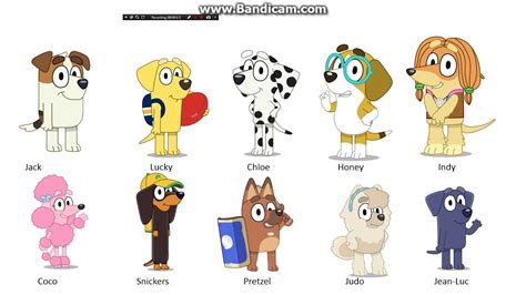 Bluey Characters And Names