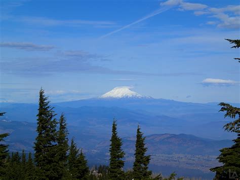 We did not find results for: Fall Hike Up Tilly Jane Trail to Cooper Spur Stone Shelter ...