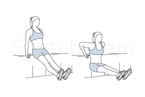 Tricep Dips Illustrated Exercise Guide