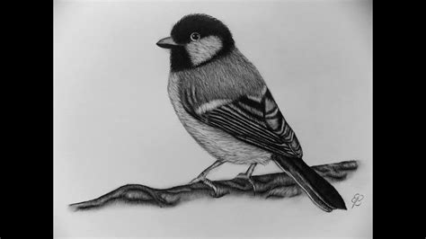 Knowing how to draw a bird is one of the must skills. How to draw a bird step by step Tutorial - YouTube