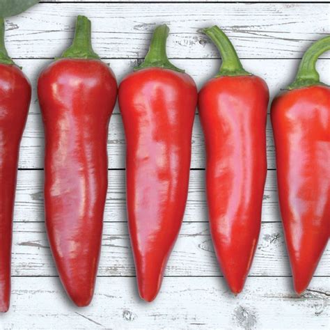 Flaming Flare F1 Hybrid Hot Pepper Seeds Etsy