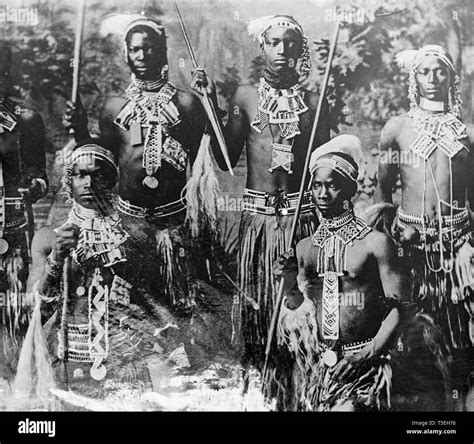 Zulu Spears Black And White Stock Photos And Images Alamy