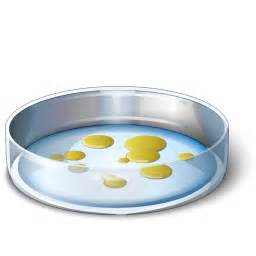 He was freaking out about leo. IconExperience » V-Collection » Petri Dish Icon