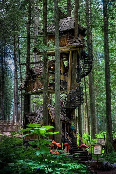 Top 30 Amazing Treehouses Architecture Around The World Reckon Talk
