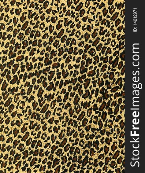 Leopard Texture Free Stock Images And Photos 14212971