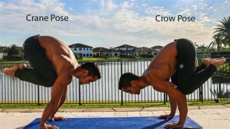 Crow Pose Crane Pose In Yoga How To Do Concise Tips