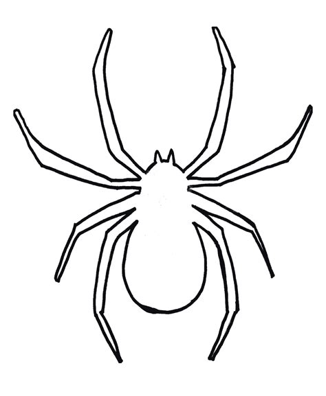 Spider Template Clipart Best