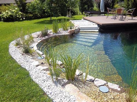 30 Gorgeous Natural Swimming Pool Designs For Small Backyard Ponds Backyard Pool Landscaping